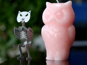 Angry Owl candle and skeleton