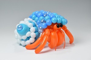 Ballon Hermit Crab