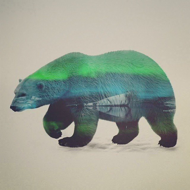 Blue and Green Bear