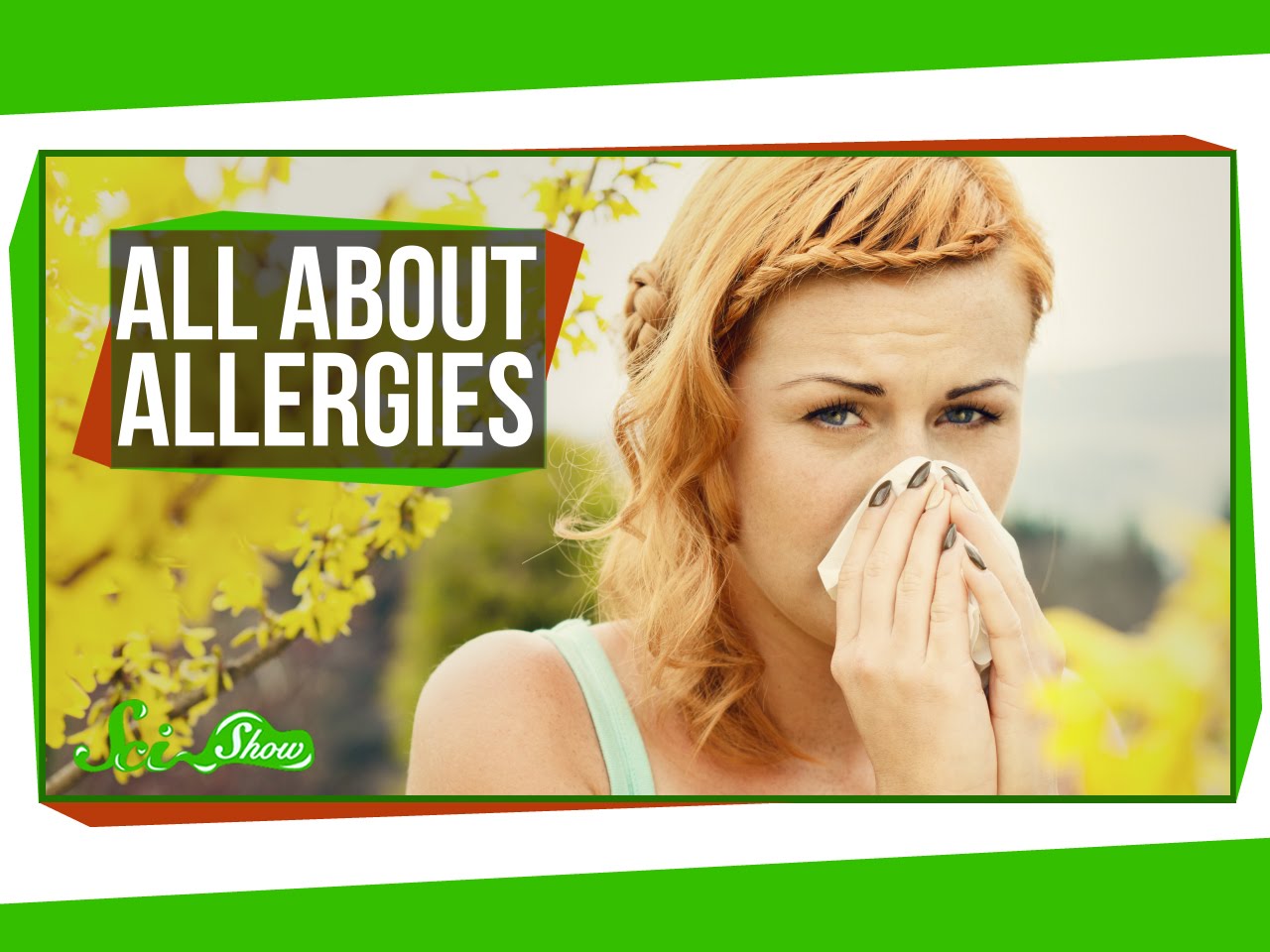 'All About Allergies', An Explanation of What Happens in the Body