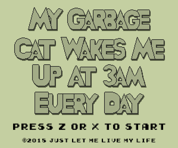 My Garbage Cat Wakes Me Up At 3AM Every Day