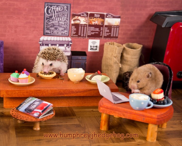 Hungry Hedgehog and His Hamster Buddy Enjoy a Few Snacks While CoWorking at a Tiny Café