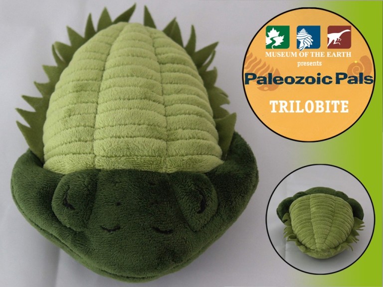 Trilobite plushie