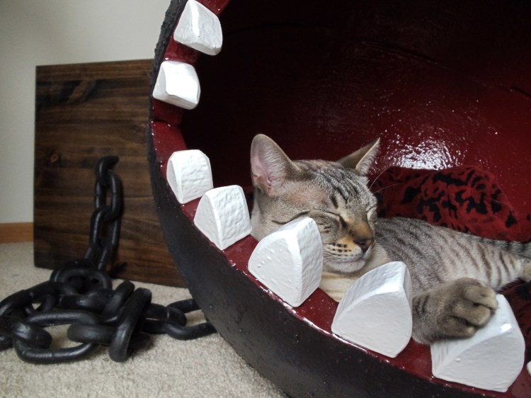 Chain chomp cat bed with one cat