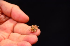 Miniature Origami Robot