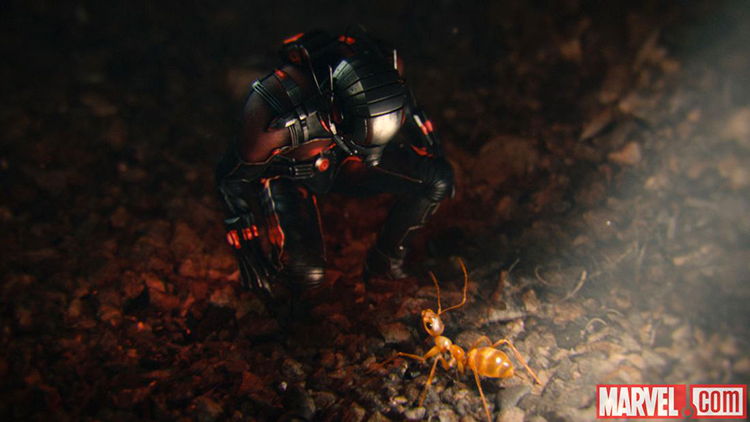 ANT-MAN images