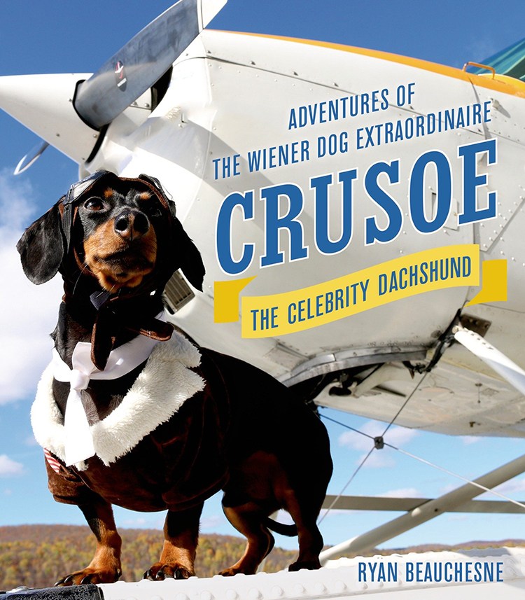 Crusoe the Celebrity Dachshund and His Brother Oakley Play Fetch While