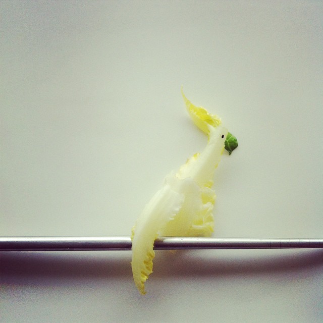 Fruits and Vegetables Cleverly Transformed Into Easily Recognizable ...