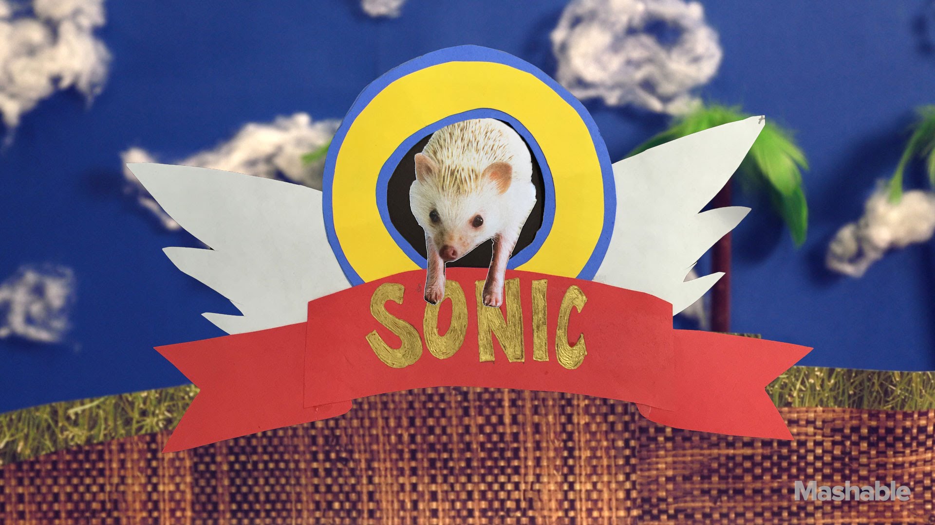 An Actual Hedgehog Navigates a 'High-Budget Replica' of a 'Sonic the ...