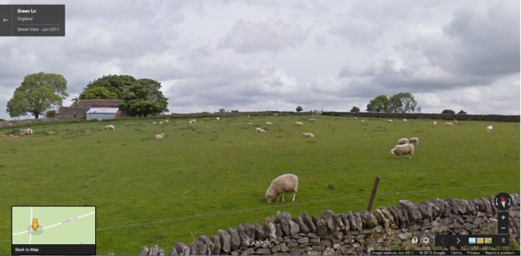 Google Sheep View