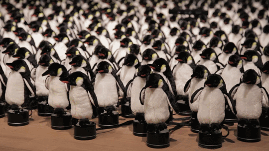 penguins mirror spinning