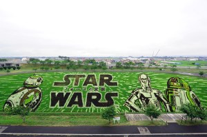 Star Wars Tambo Art