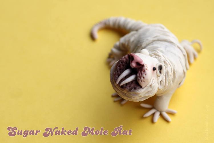 Sugar Naked Mole Rate
