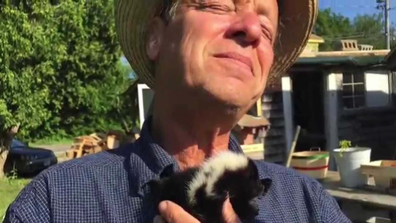 A Tiny Rescued Baby Skunk Hangs Out in His Human's Front Pocket as He