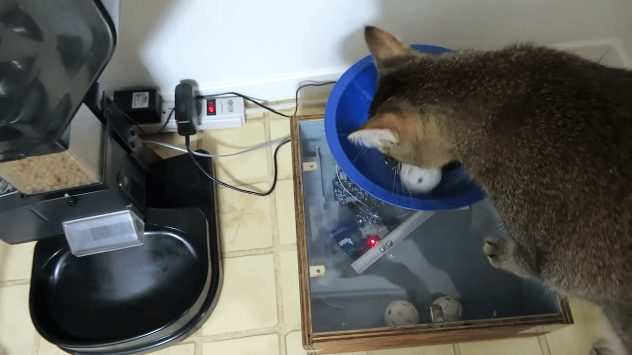 Creative Man Builds an Incredible Cat Feeding Machine That Requires His