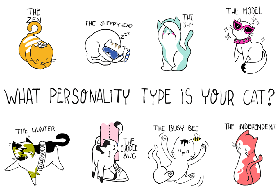 Cat Personality