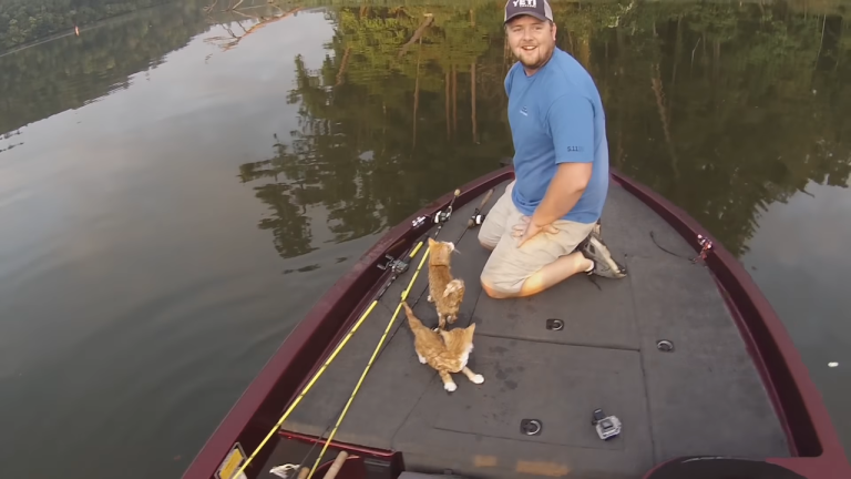 Catfishing on the River