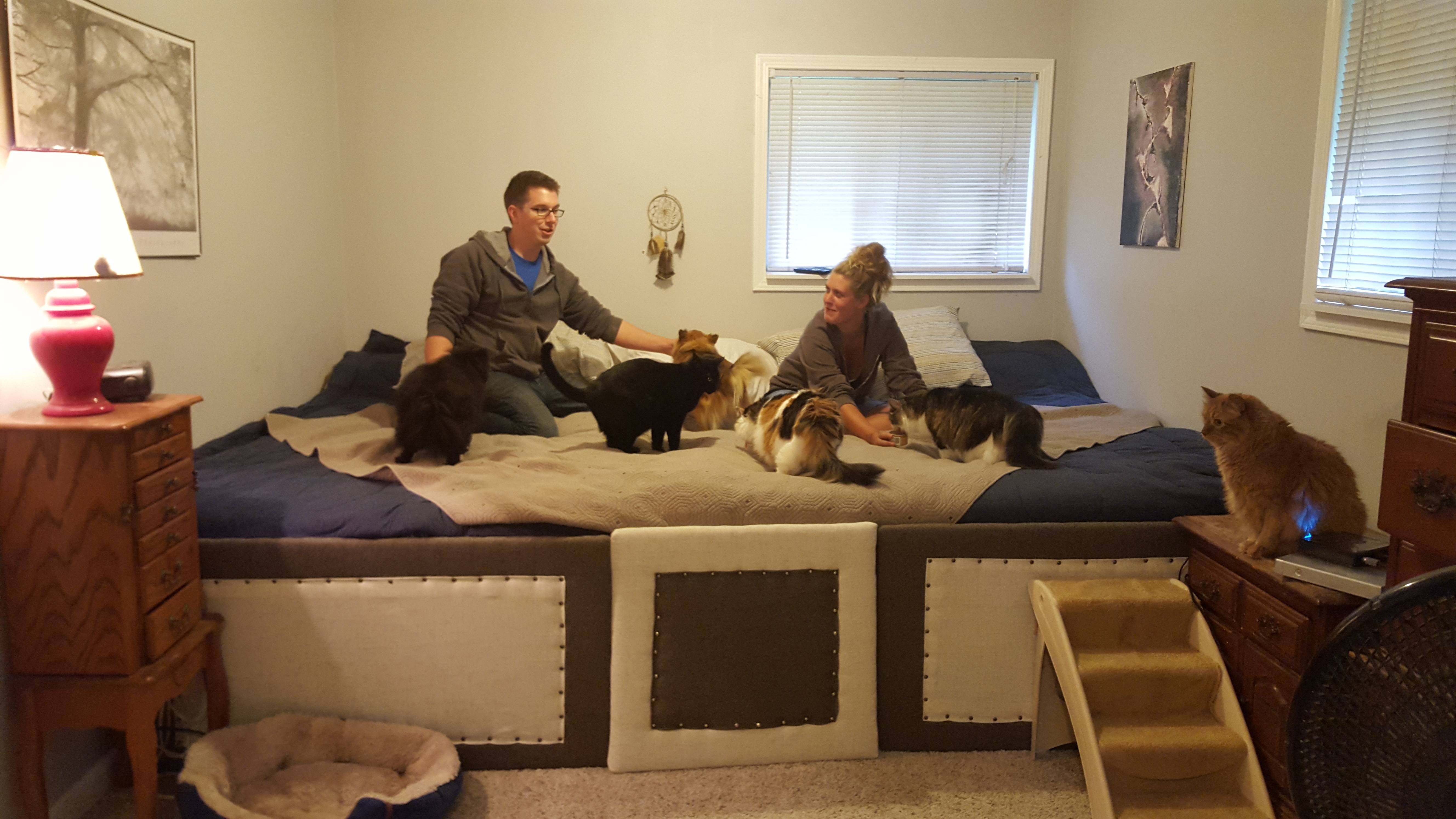 Animal Loving Couple Builds a Giant Bed 