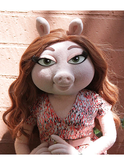 Kermit the Frog's New Girlfriend Denise Portrait