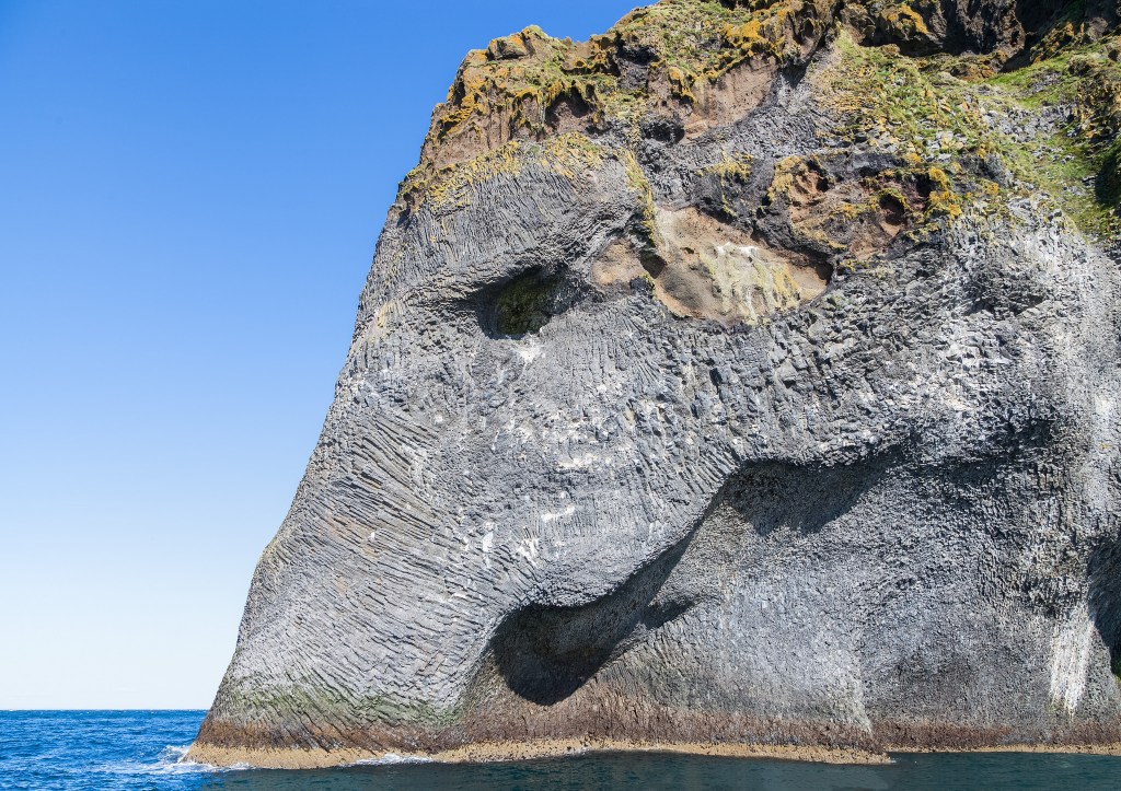 iceland elephant teddy