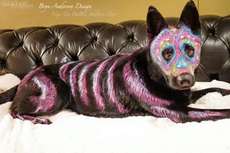 dia de los muertos costume for dogs
