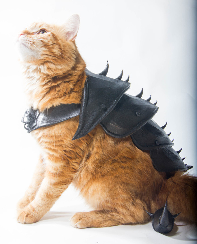 Cat Armor