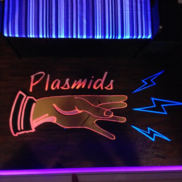 Plasmid