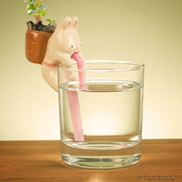 Self Watering Rabbit