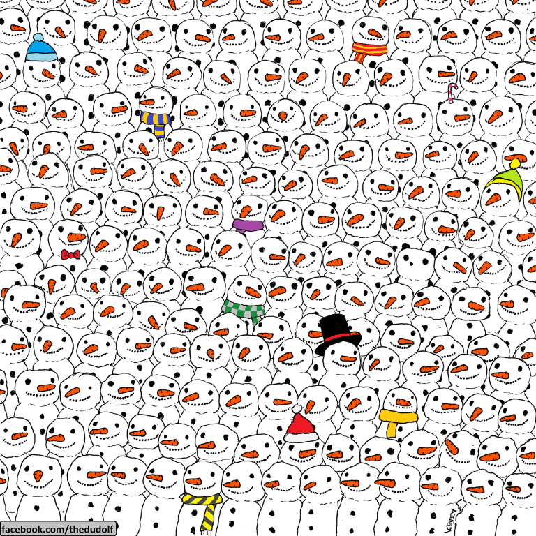 Find the Panda