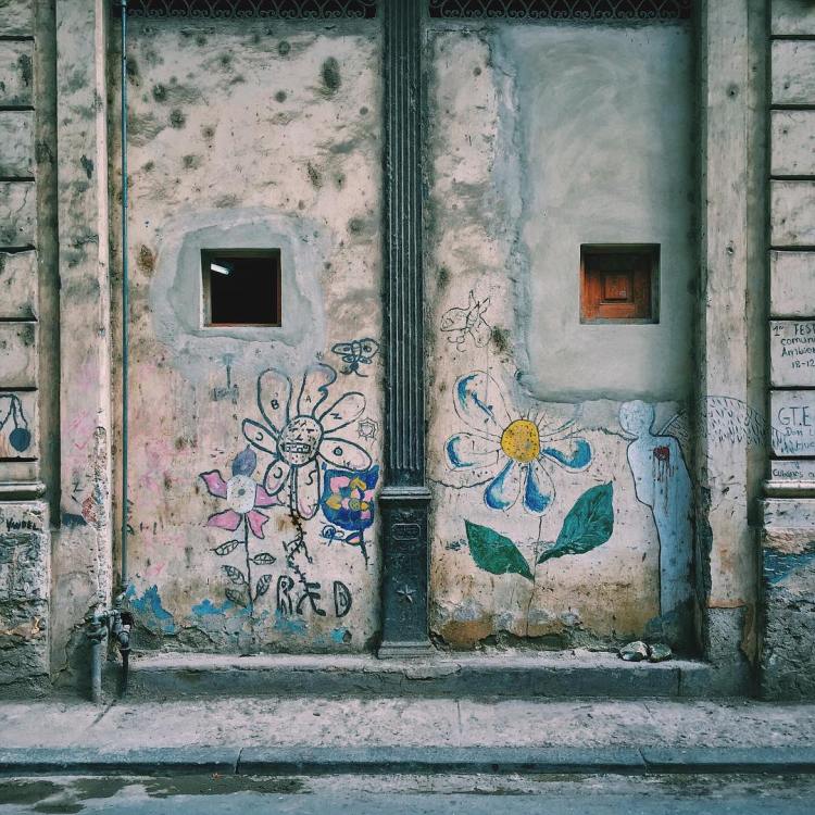 Havana Door