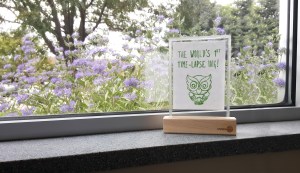 Living Ink Owl on a Windowsill