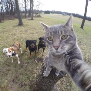 Selfie with Dogs