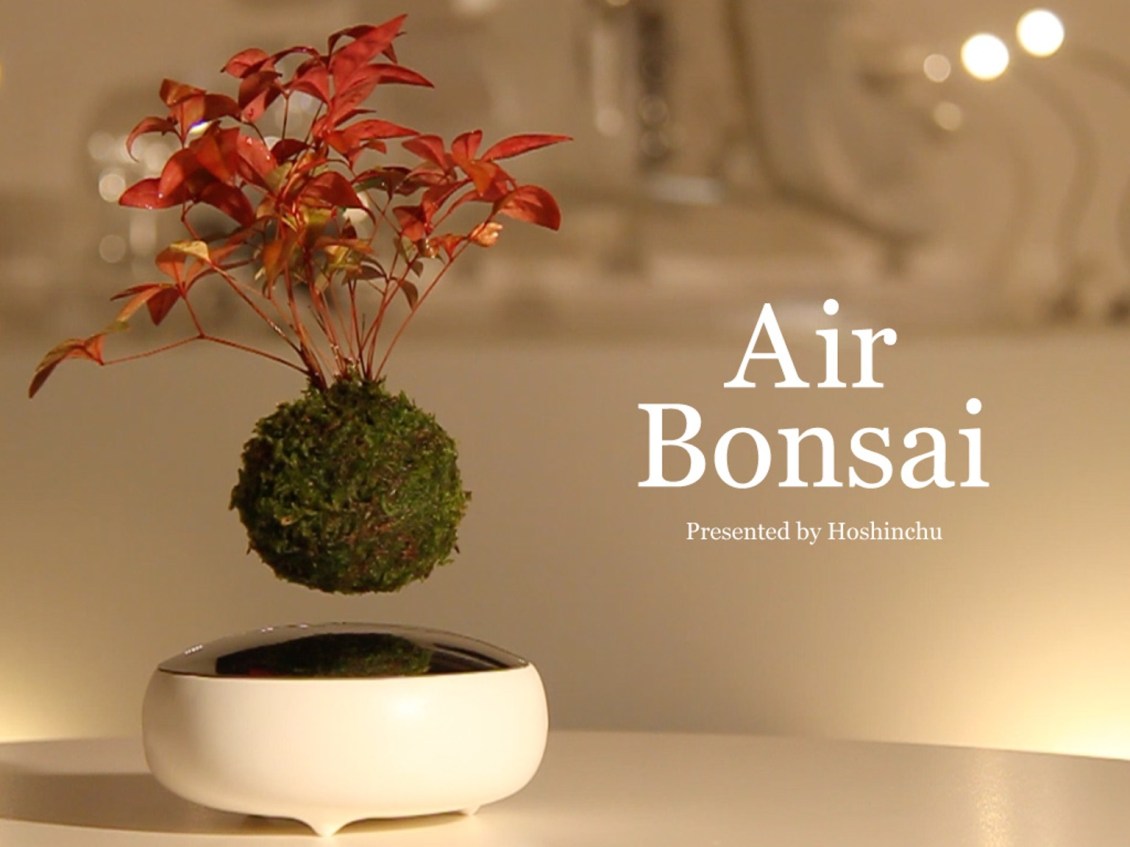 Air Bonsai