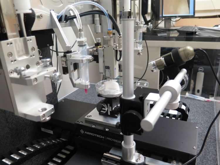 3D Bioprinter ITOP System
