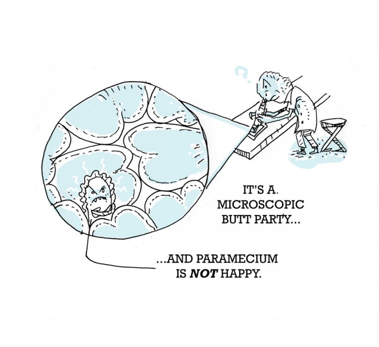 Microscopic Butt Party