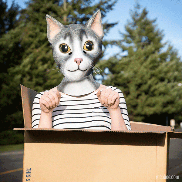 RealisticLooking Latex Gray Tabby and Black Cat Masks by Archie McPhee