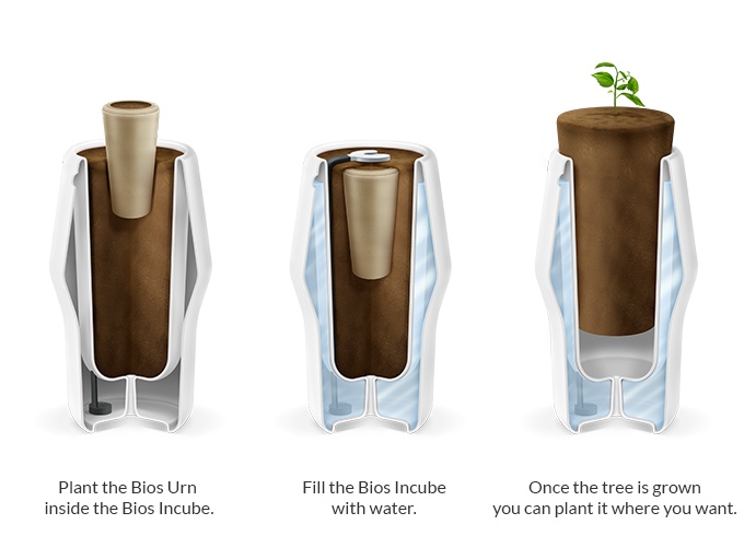 Planting Illustration