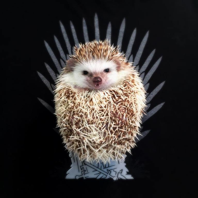 Huff of Thrones