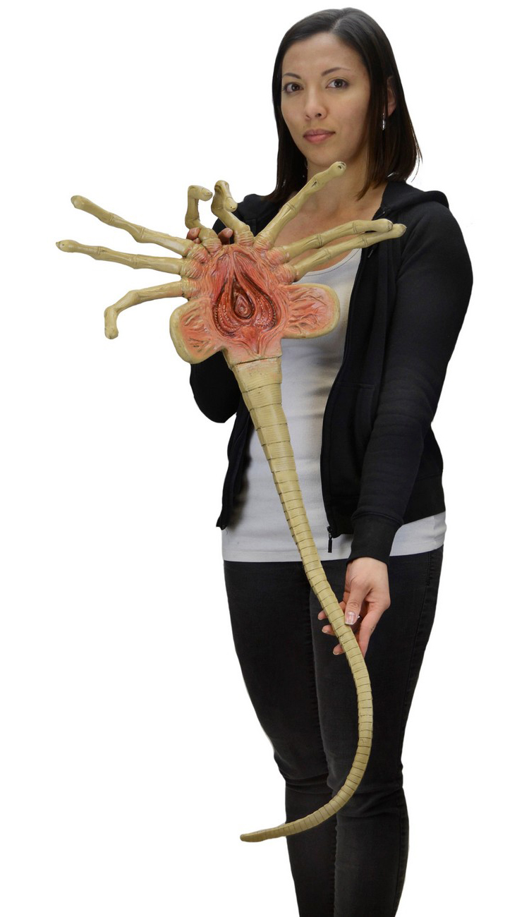 A FullSize Foam Replica of an Alien Facehugger