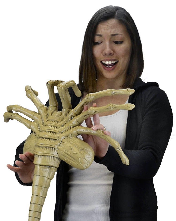 A FullSize Foam Replica of an Alien Facehugger