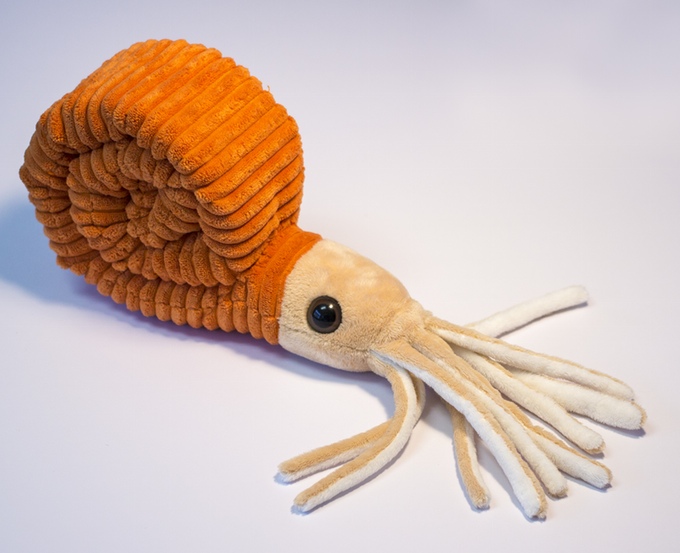 Ammonoid Plushie