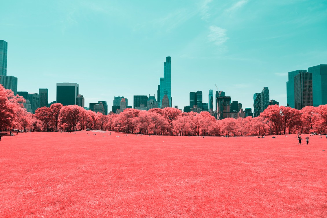 Infrared NYC