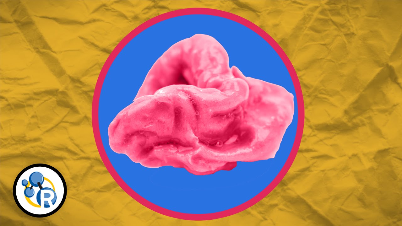 Reactions Finds Out If Chewing Gum Really Stays in Your Stomach for 7 Years