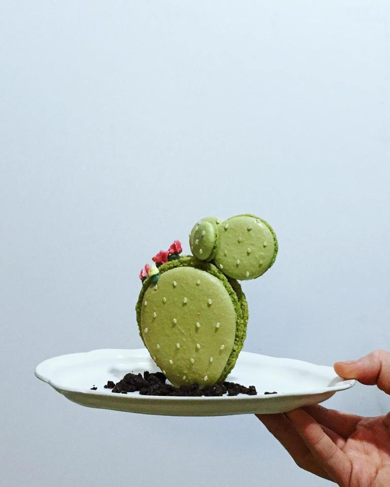 Cactus Macaron