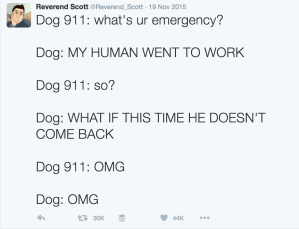 Dog Calling 911