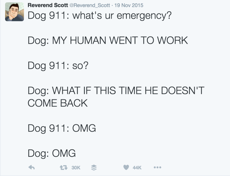 Dog Calling 911