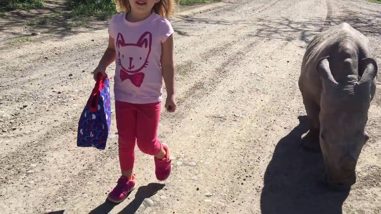 A Little Girl and a Baby Rhino Go For a Walk Down a Dirt Road at a Kenyan Conservancy