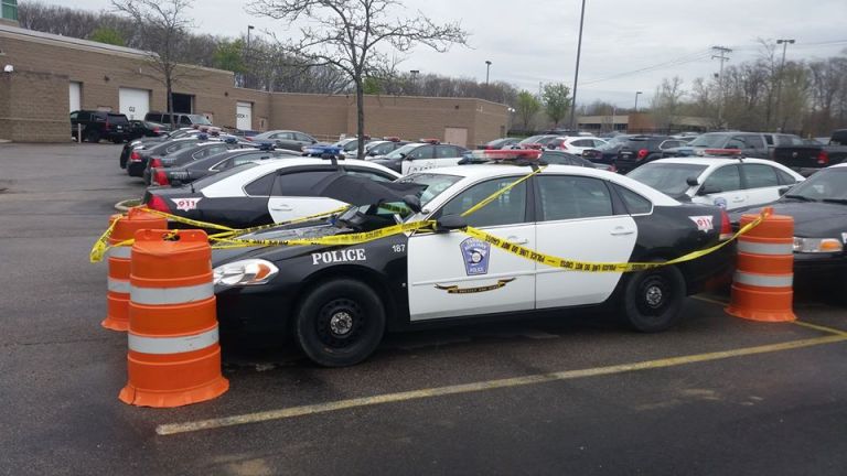 Police Car Nest