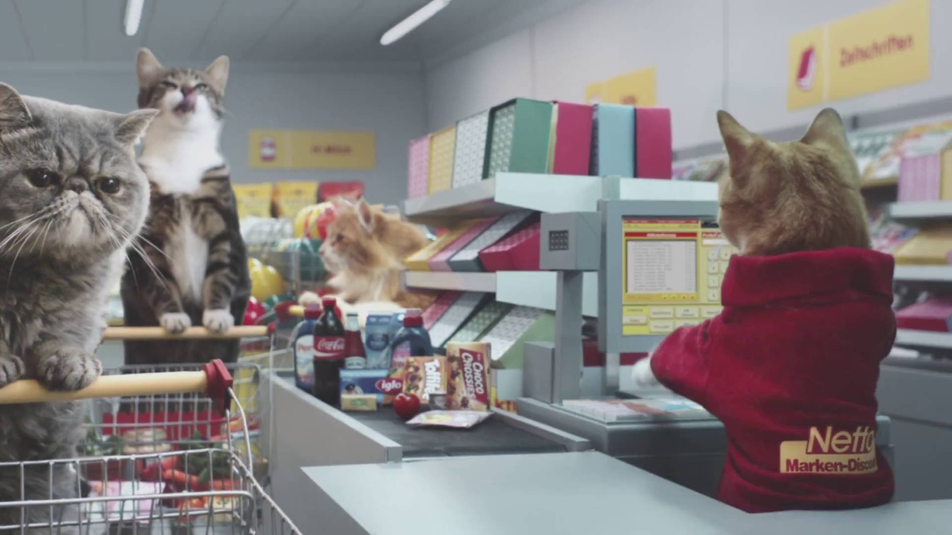 The Cats of YouTube Go Grocery Shopping In a Very Clever Ad for German  Supermarket Chain