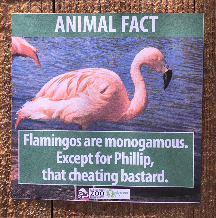 Obvious Plant Leaves Funny Fake Animal Facts All Over the Los Angeles Zoo